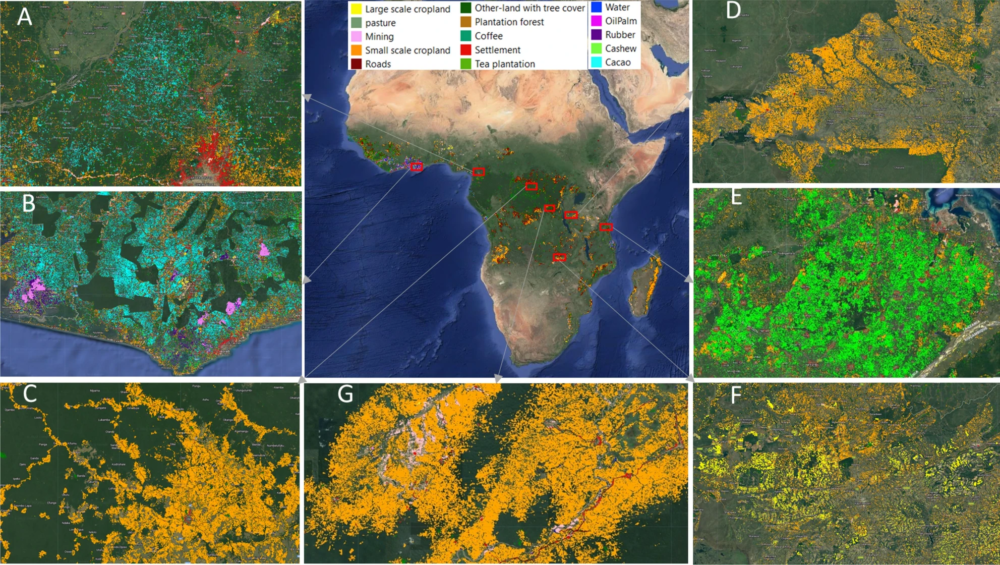 Satellite mapping of Africa's forests.