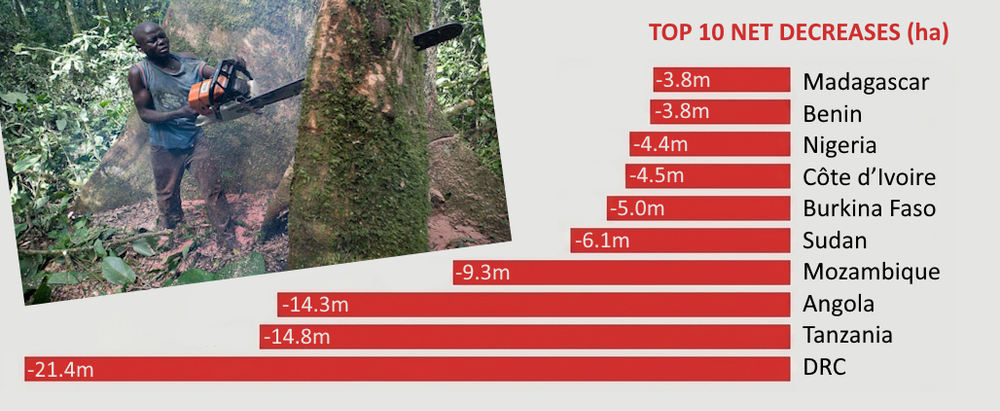 Top 10 African Countries with Highest Net Forest Decrease